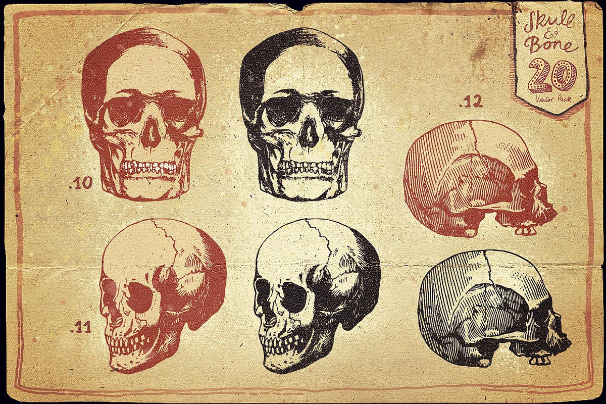 Vintage Skull and Bone Vector pack, an Illustration by Itsmesimon (Photo 7 of 11)