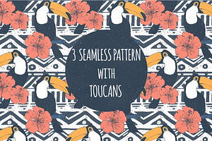 Exotic patterns with toucans