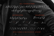 Aesthero - Stylish Signature Script, a Script Font by Sarid Ezra (Thumbnail 7 of 7)