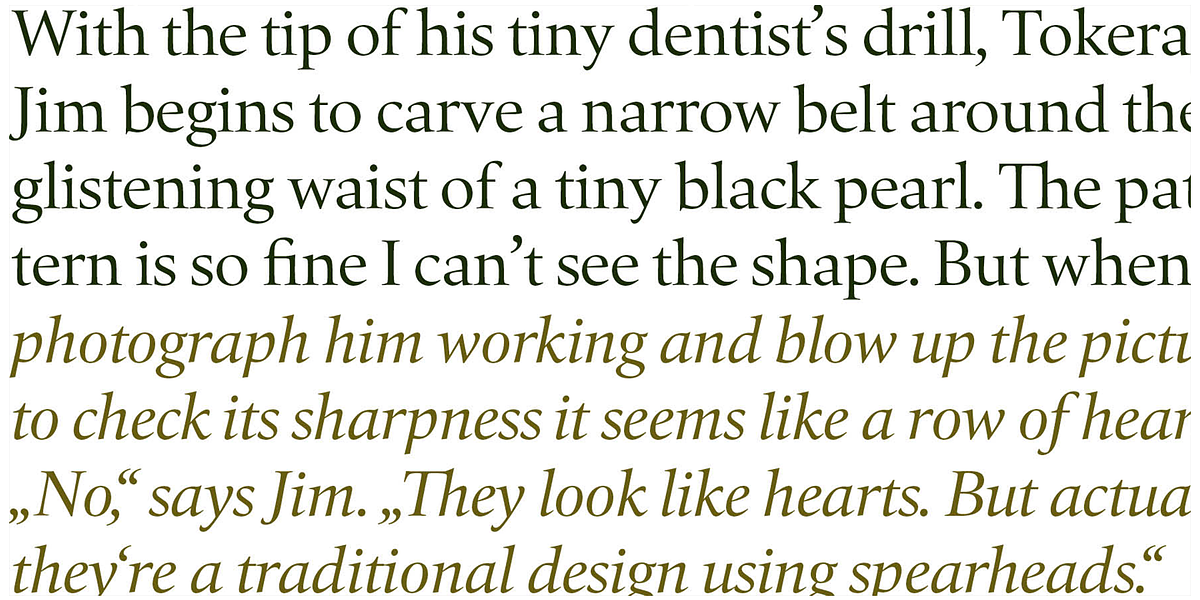 Quant, a Serif Font by Hoftype (Photo 3 of 6)