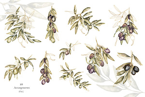 Watercolor Olives Collection