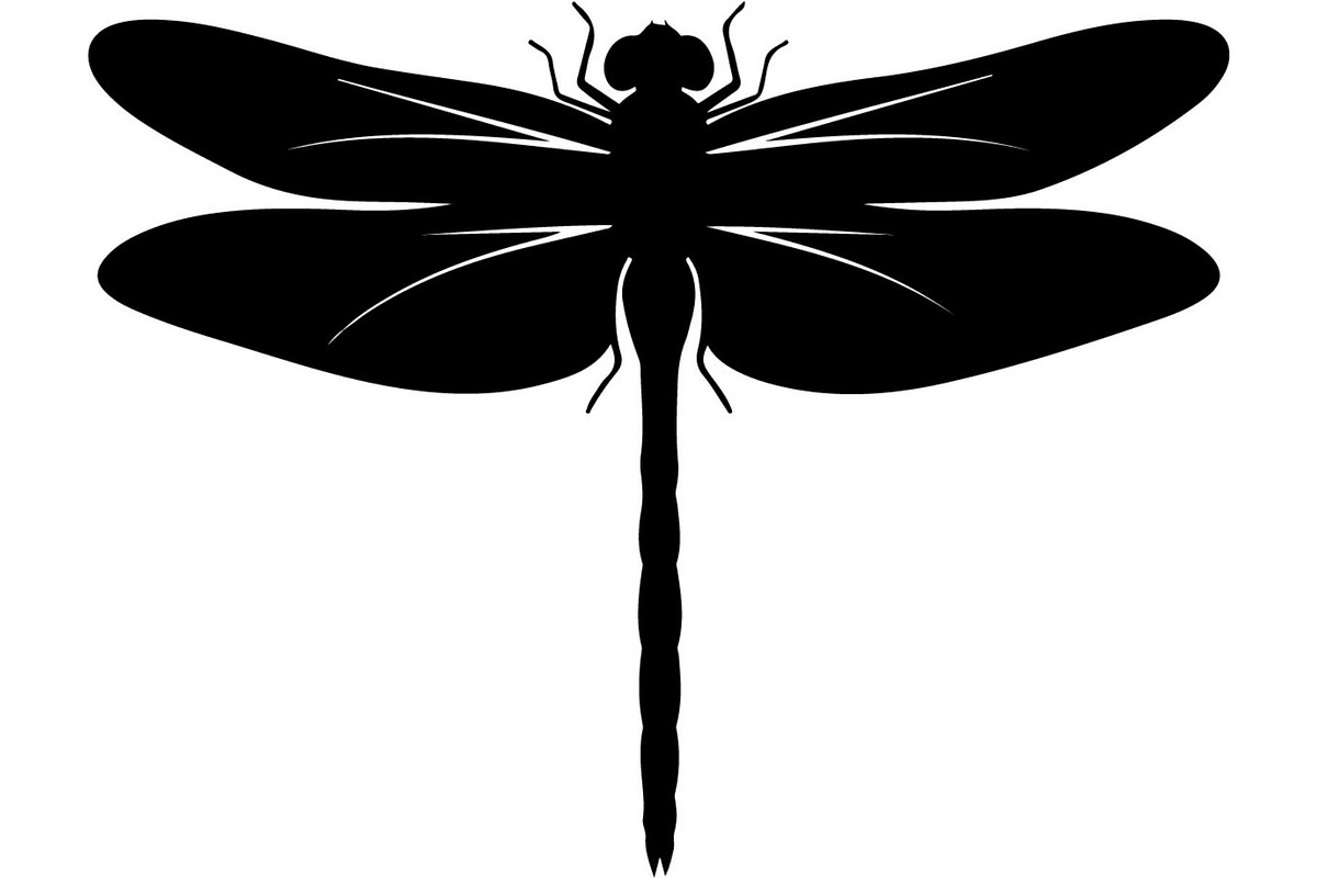 Dragonfly Silhouette, an Object Graphic by Designer_Momina (Photo 4 of 20)