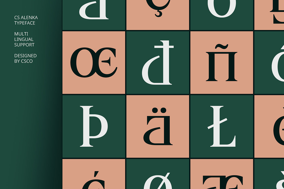 CS Alenka – Classic Font, a Serif Font by Craft Supply Co. (Photo 5 of 8)