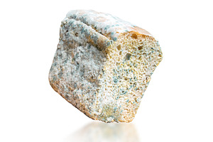 Spoiled Rotting Bread with Green