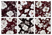 White Hibiscus Digital Paper, a Texture Graphic by Dream Creation (Thumbnail 6 of 7)