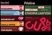 Pristine - Elegant Sans Serif, a Sans Serif Font by Concepta Digital (Thumbnail 14 of 16)