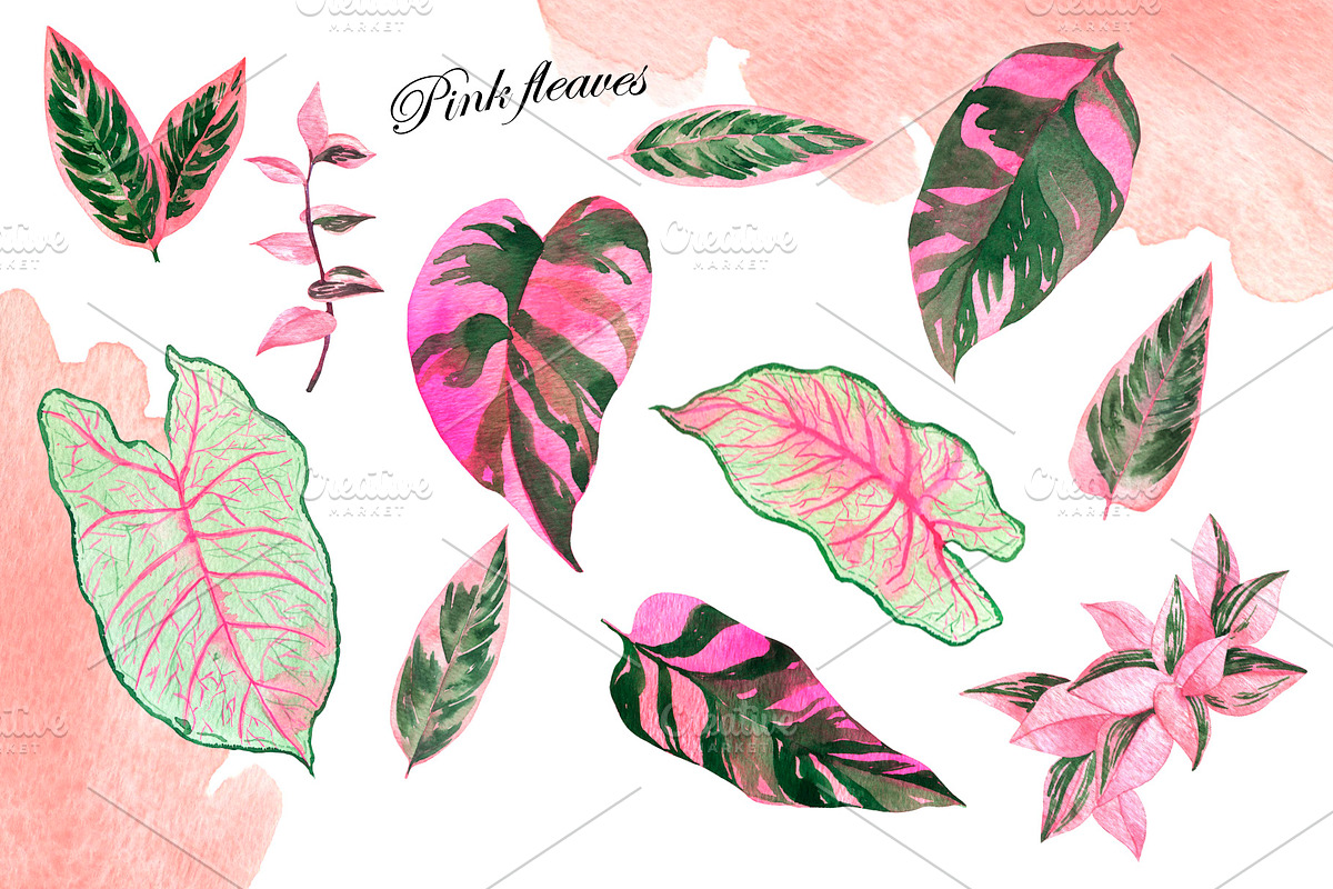 Watercolor jungle set, an Illustration by Watercolor & sketches (Photo 6 of 13)