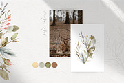 Magic Flowers - watercolor collectio, an Object Graphic by Julia M. Watercolor (Thumbnail 11 of 14)