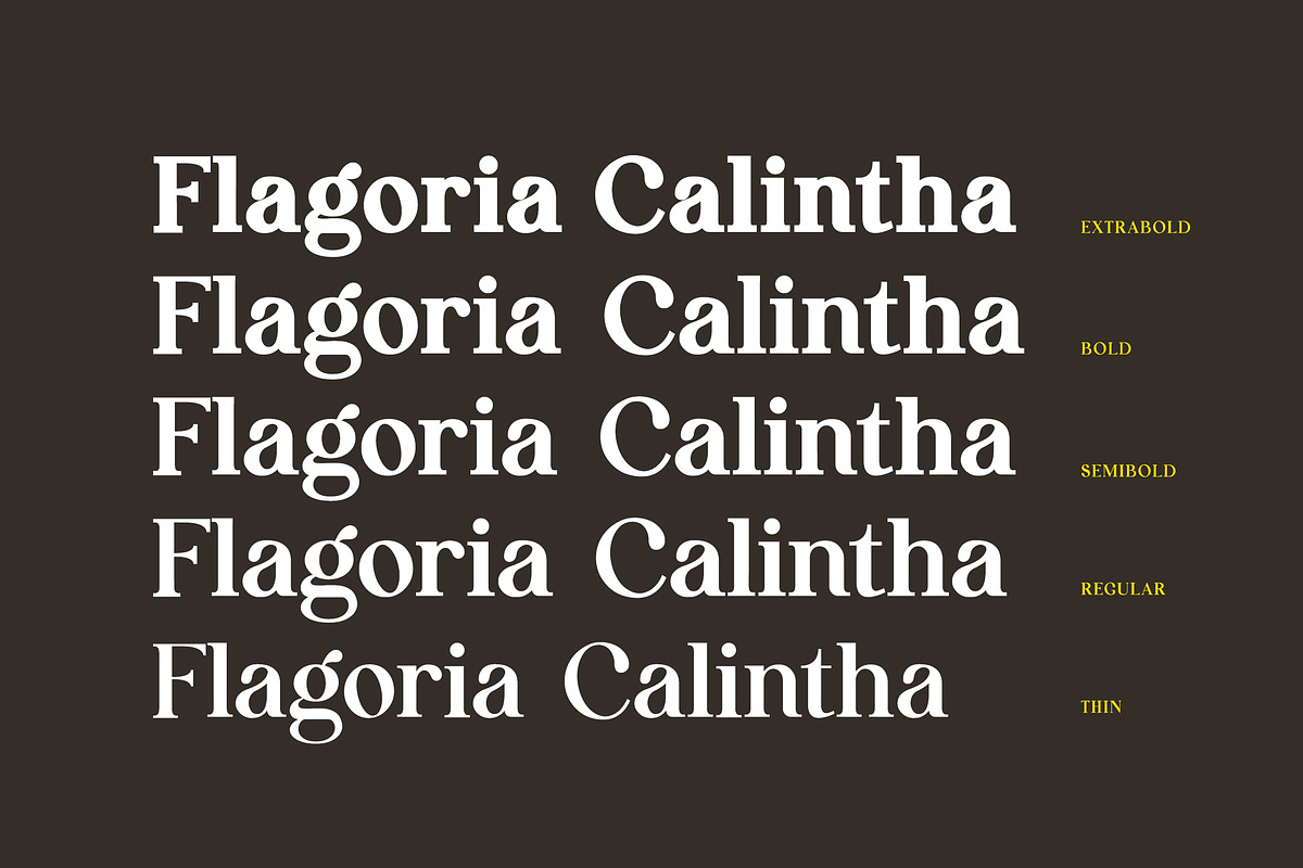 Flagoria Calintha Serif Font Family, a Serif Font by UICreative (Photo 5 of 14)