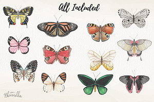 Watercolor Butterfly Clipart Set