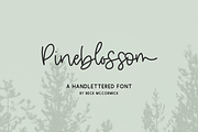 Pineblossom Script, a Handwritten Font by Beck McCormick (Thumbnail 1 of 8)