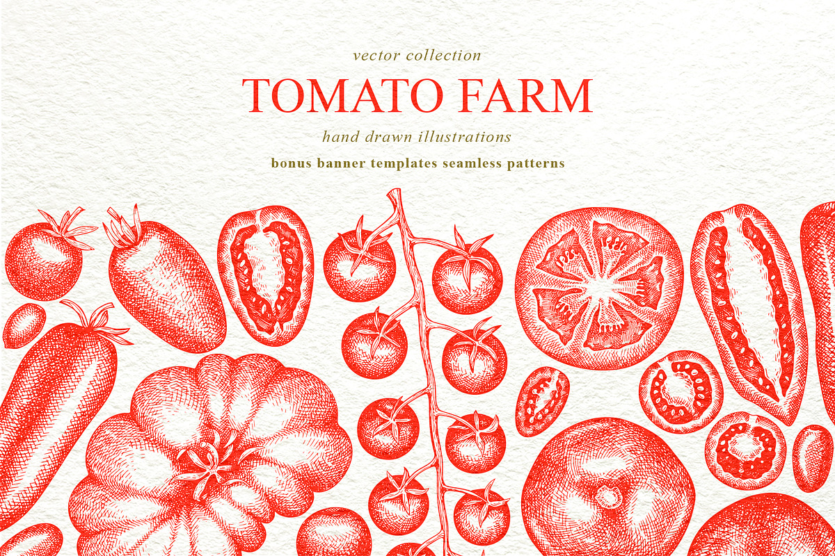 Tomato Farm Vector Collection, a Food Illustration by Lubov Illustrations Shop (Photo 1 of 13)