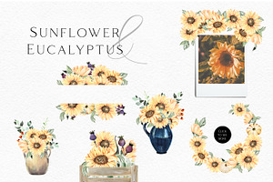 Sunflower And Eucalyptus