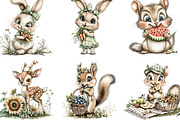 Summer Woodland Animals Clipart, an Illustration by Designking (Thumbnail 2 of 5)