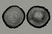 26 Large Tree Ring Textures, a Texture Graphic by Offset (Thumbnail 3 of 16)