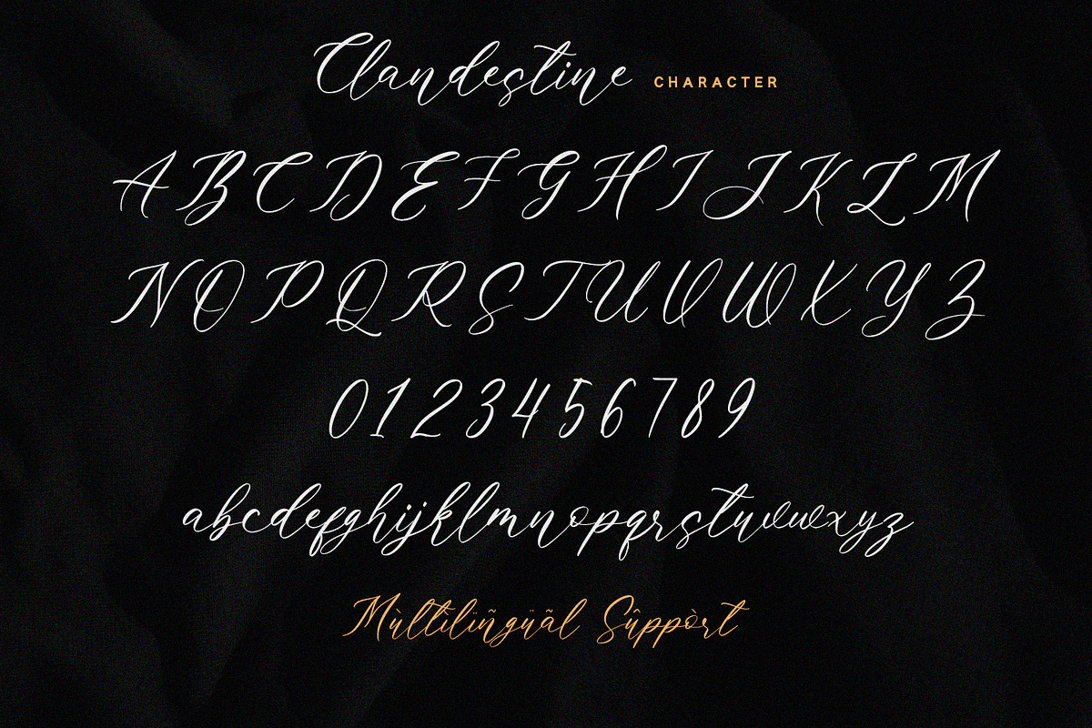Clandestine - Handwritten Font, a Script Font by Alpaprana (Photo 9 of 10)