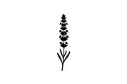 Lavender Flower Silhouette Set, an Object Graphic by Designer_Momina (Thumbnail 3 of 3)