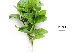 Mint stock photo containing agriculture and aroma