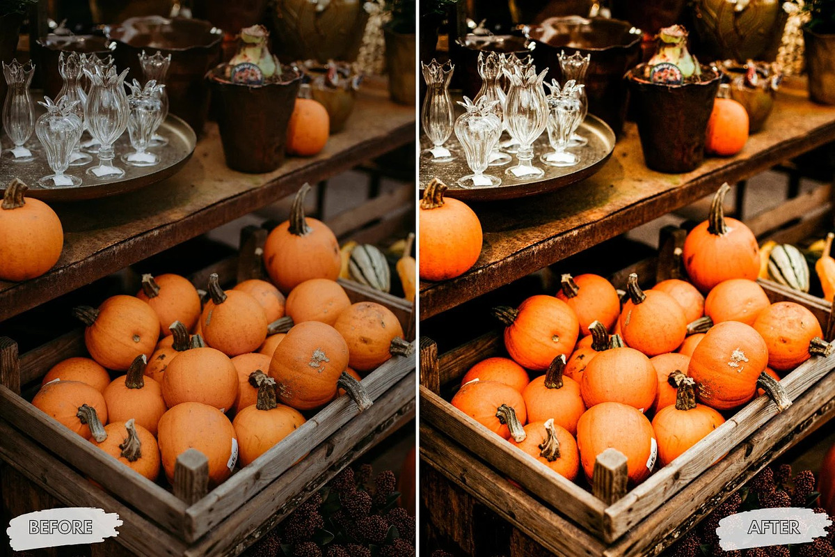 10 Crisp Leaves Lightroom Presets, a Preset Add-On by LucaTheme (Photo 5 of 9)