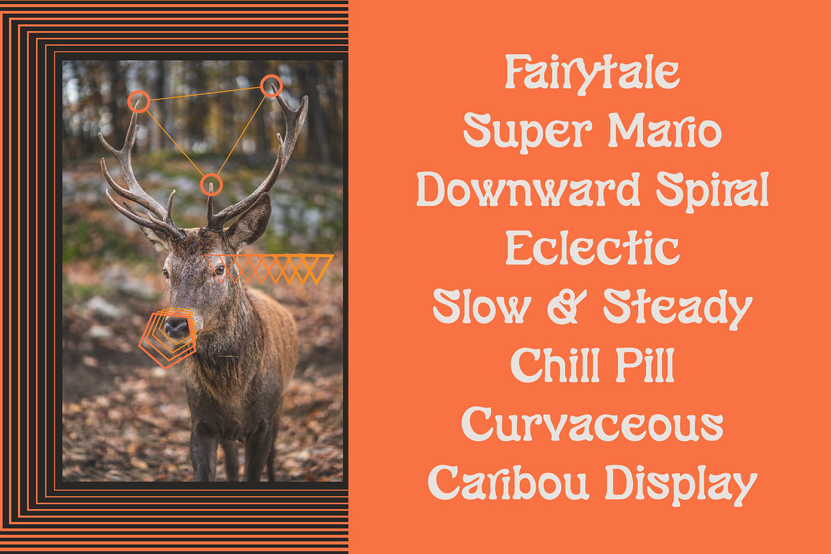 Caribou – Retro Serif, a Serif Font by Lateral Design (Photo 7 of 7)