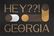 Waldecry A Modern Serif Font, a Serif Font by Storytype Studio (Thumbnail 10 of 15)