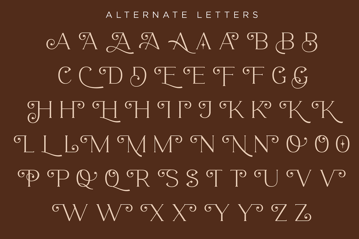 ROAST - Decorative Display Serif preview 4