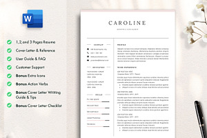 Professional Resume CV Template DOCX