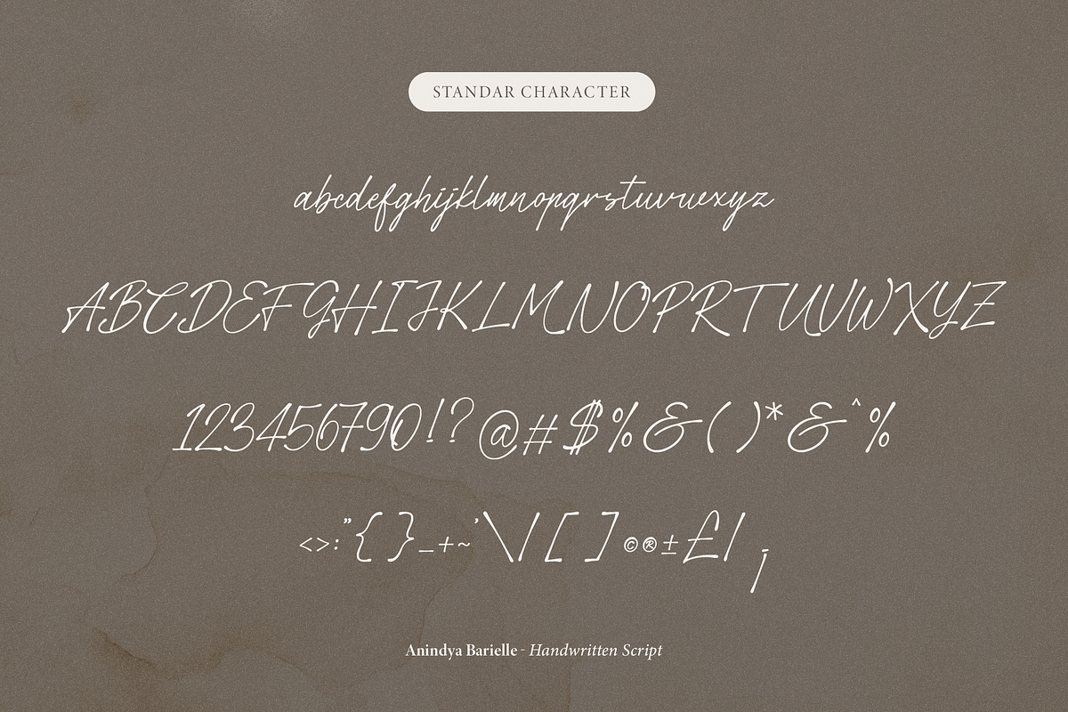 Anindya Barielle Handwritten Script, a Script Font by Denustudios (Photo 12 of 15)