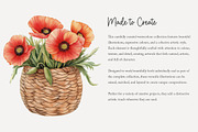 100 watercolour poppy clip art, a Seasonal Illustration by Poppy Lane Studio (Thumbnail 4 of 12)