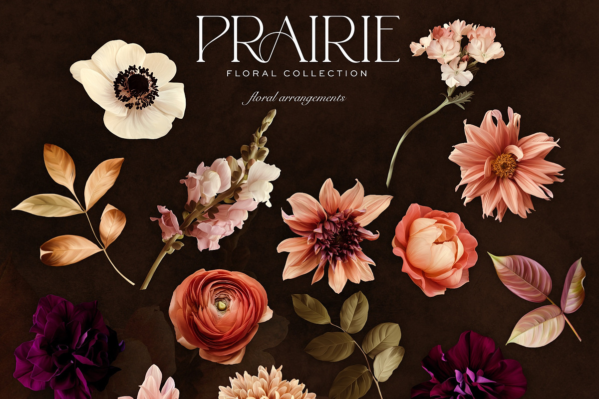 Warm Peachy Pink Floral Art Kit, a Decorative Illustration by Eclectic Anthology (Photo 6 of 12)