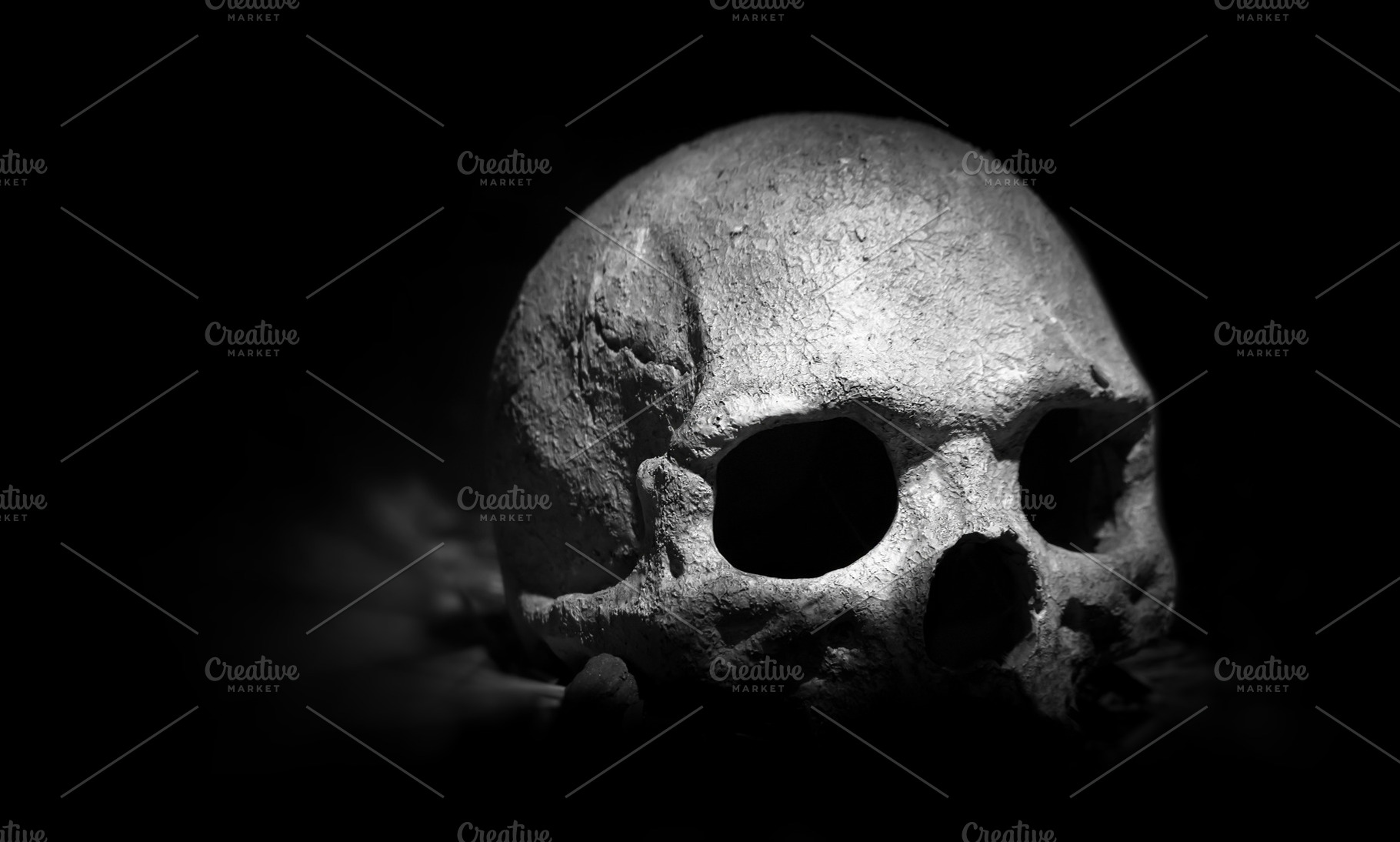 Scary skeleton featuring anatomy, background, and black, an Abstract Photo by KYNA STUDIO