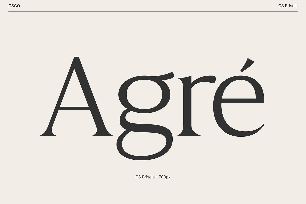 CS Briseis – Luxury Serif Font, a Serif Font by Craft Supply Co. (Photo 3 of 8)