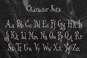 Garden Got In Tendril Display Font, a Handwritten Font by The October Creative (Thumbnail 3 of 8)