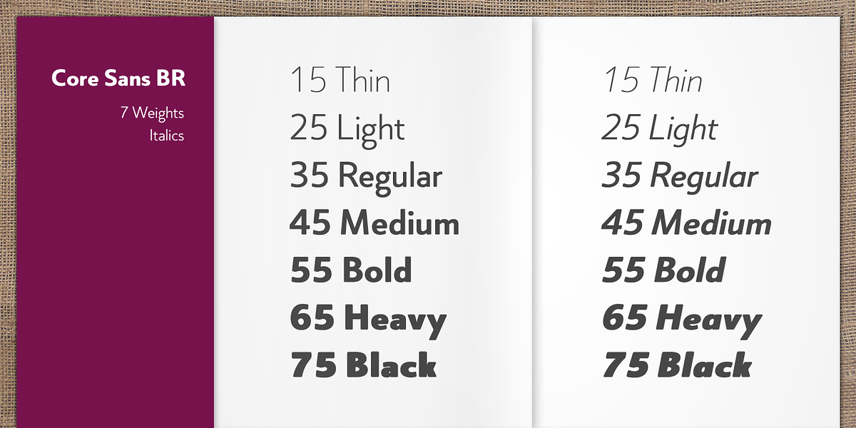 Core Sans BR, a Sans Serif Font by S-Core (Photo 3 of 7)