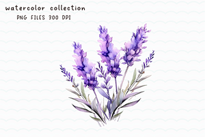 Lavender Purple Flower Watercolor