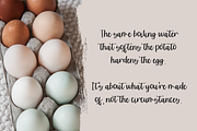 Sunshower Script, a Script Font by Beck McCormick (Thumbnail 4 of 10)