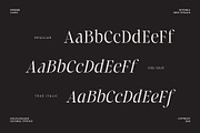 Laught Alize, a Serif Font by Godbless Studio (Thumbnail 8 of 10)