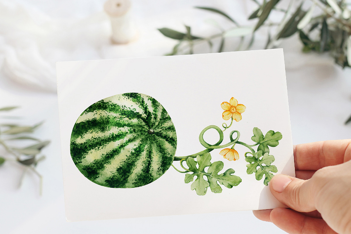 Juicy watermelon, watercolor summer, a Food Illustration by Artmanata (Photo 12 of 12)
