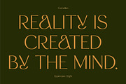 CARNELIAN - Display Variable Type, a Sans Serif Font by Artflorara (Thumbnail 5 of 16)