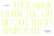Artemis - An Elegant Serif, a Serif Font by Like Magic Studio (Thumbnail 5 of 11)