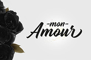 Madame - SUMMER SALE - 70% OFF!, a Handwritten Font by StereoType (Thumbnail 2 of 9)