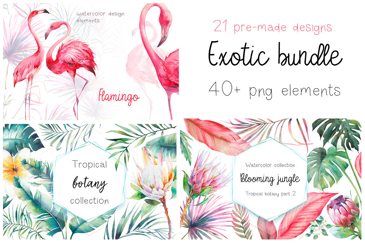 Exotic bundle, an Illustration by Eisfrei (Photo 1 of 3)