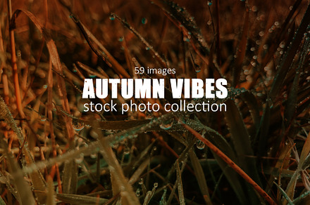 Autumn Aesthetic Photo Bundle/59 pic, a Wallpaper Photo by Alona Hrinchenko