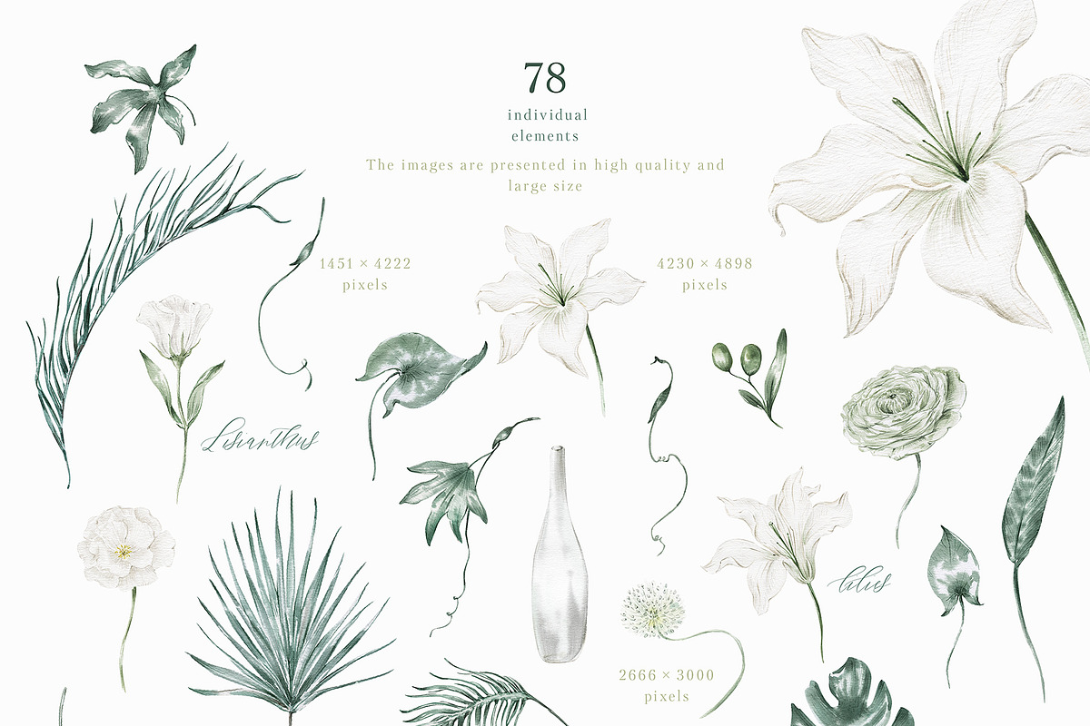 White flowers and tropical leaves, an Illustration by astelenadesign (Photo 3 of 14)