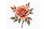 Terracotta Rose, a Decorative Illustration by Bloom Craft Creations (Thumbnail 5 of 10)