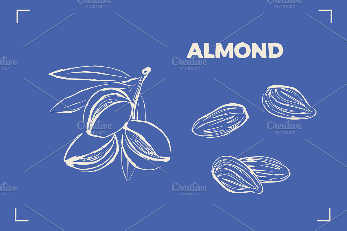 NUTS LINE ART SET (15+ elements), a Food Illustration by Bonfloret Studio (Photo 3 of 10)