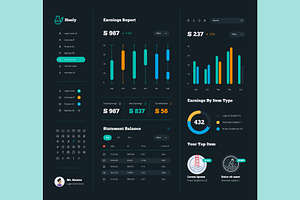 Vector Dashboard Kit Earnings Report