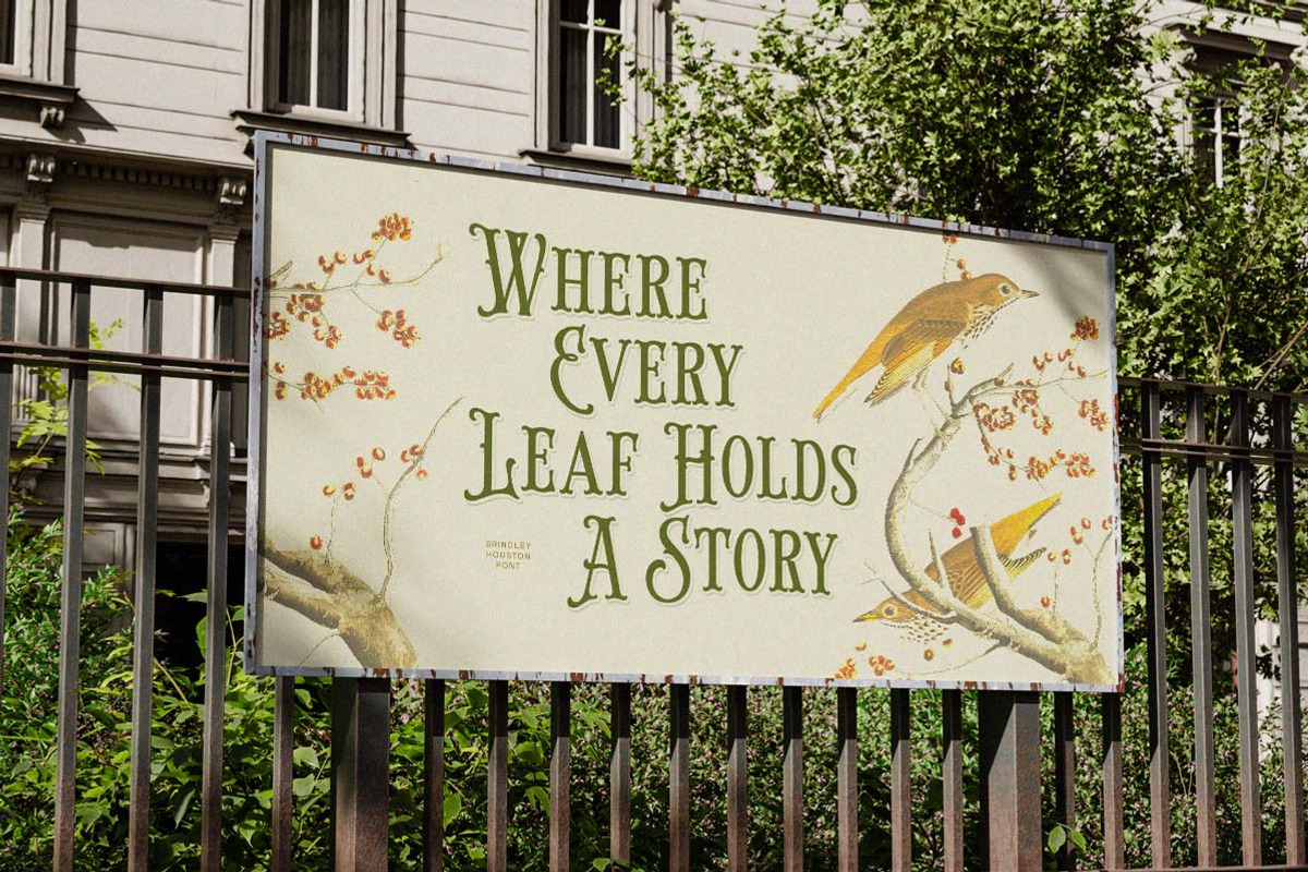 Brindley Houston Display Serif, a Serif Font by Letterhend Studio (Photo 6 of 11)