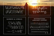 Arlin Brush Font, a Script Font by chekart (Thumbnail 4 of 4)