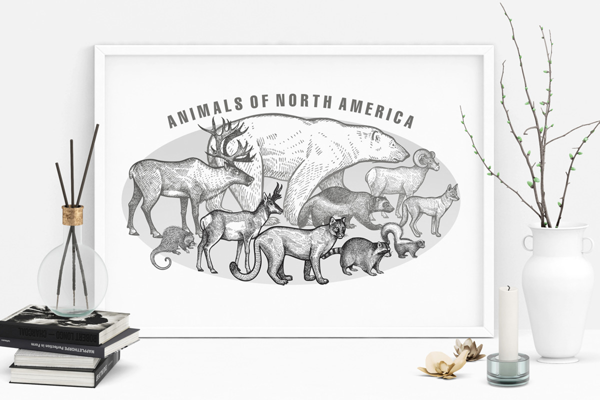 Animals of North and South America., an Object Graphic by MarinaVorontsova (Photo 4 of 5)